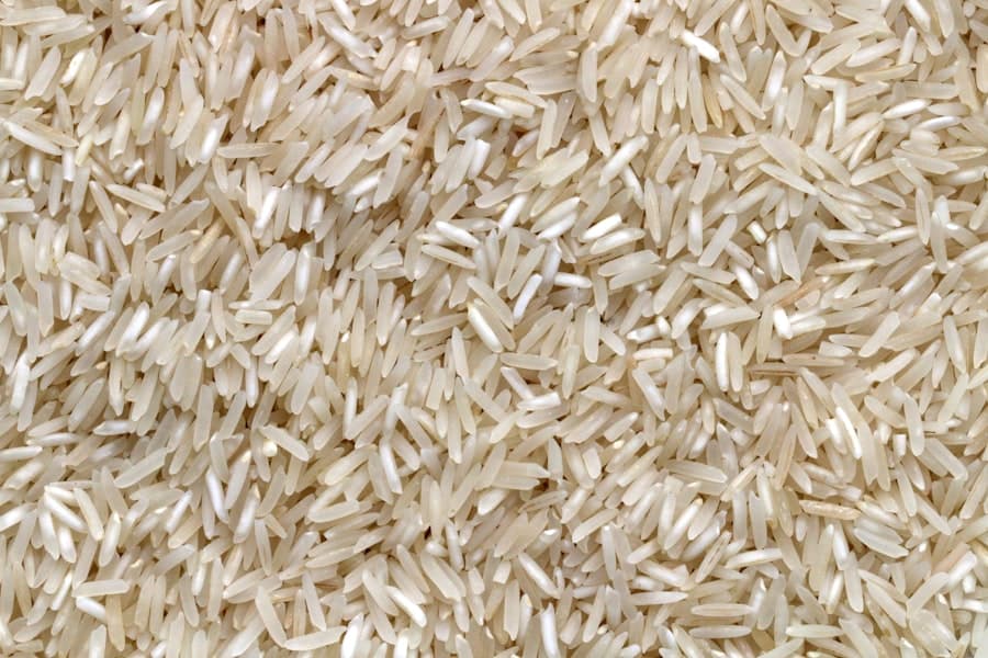 Rice fields