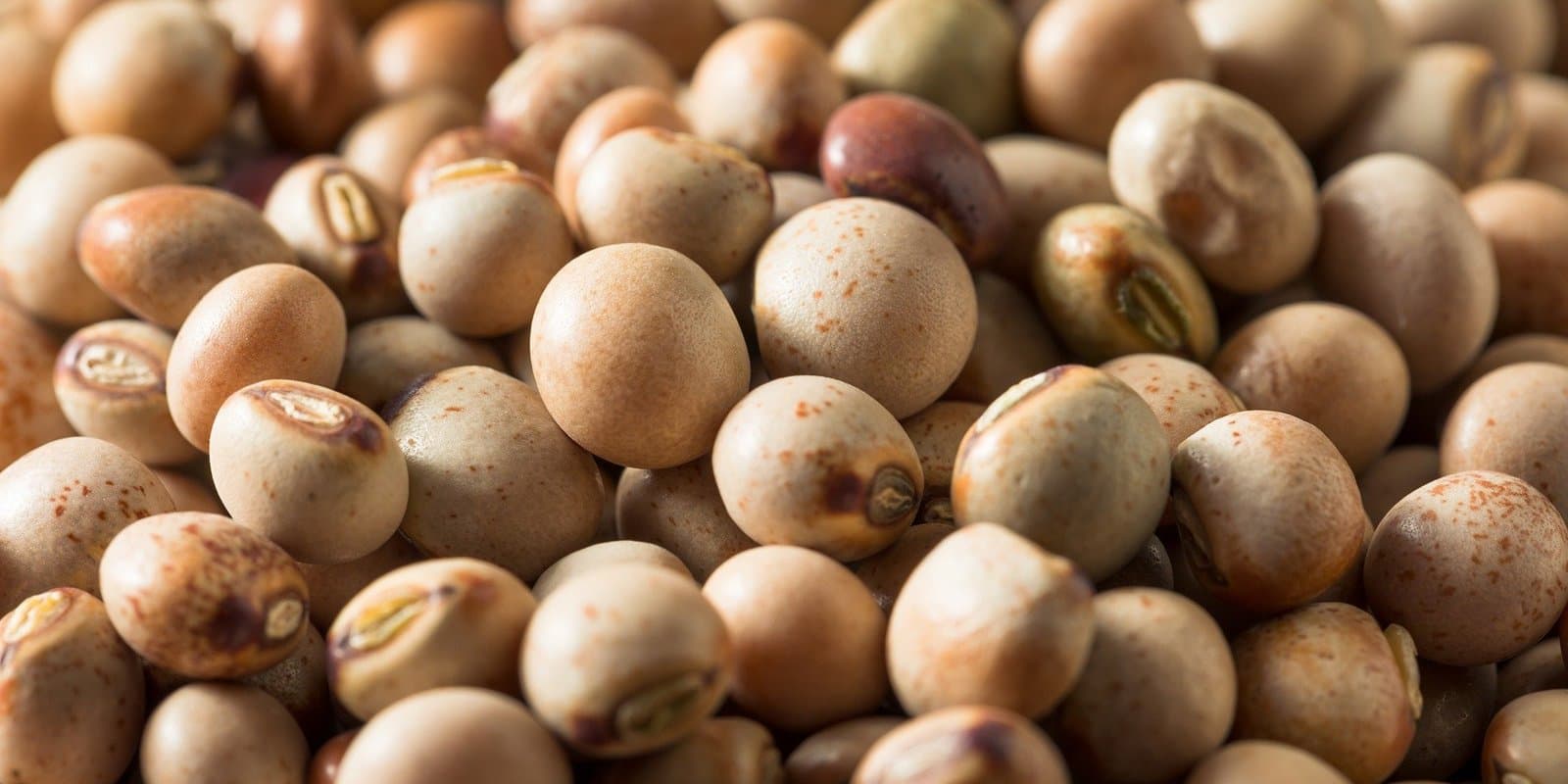 Pigeon Peas (Arhar/Tur)