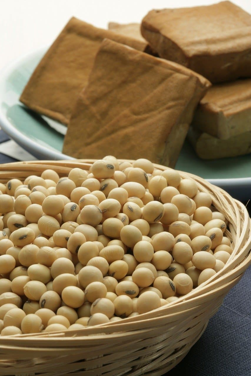 Oil Seeds